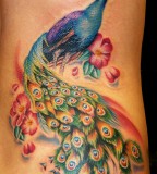 Beautiful Peacock Bird Tattoo Designs on Rib cage for Women - Bird Tattoos