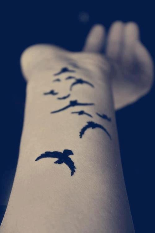 Superb Flying Bird Silhouette Arm Tattoo Design