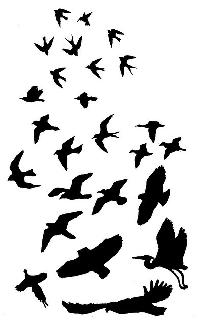 Fabulous Silhouette Of Flying Bird Tattoo Design