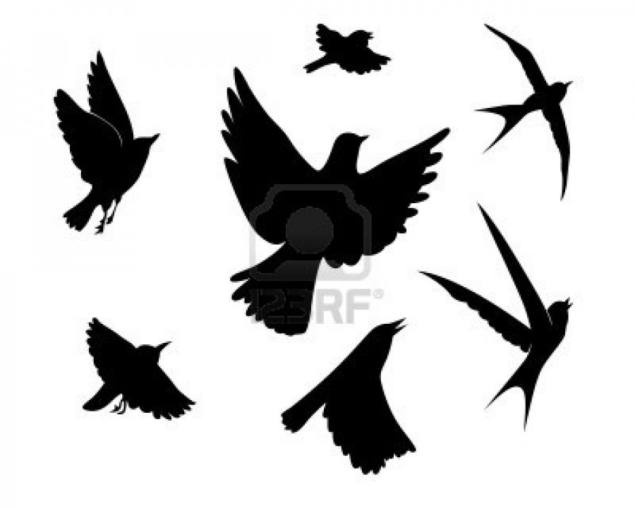 Flying Birds Silhouette On White Background Vector Illustration