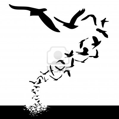 Lot Of Birds Flying Silhouette Tattoo Style Illustration