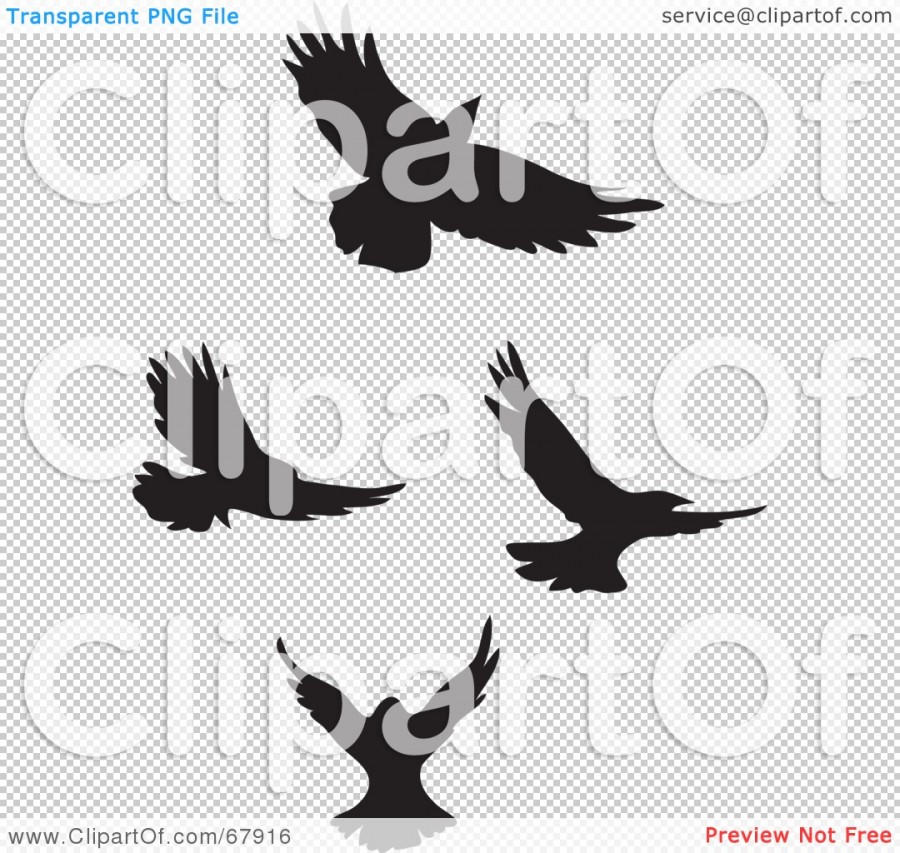 Attractive Birds In Flight Clipart Art Tattoo Design