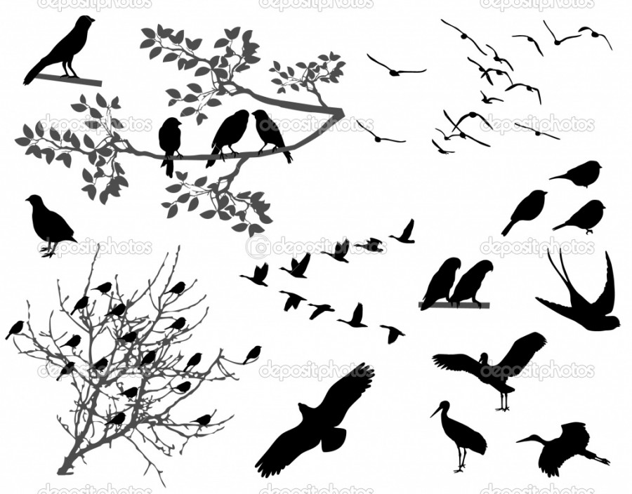 Fantastic Image Of Flying Sparrow Birds Silhouette Tattoo Inspiration