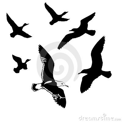 Artistic Vector Flying Birds Silhouettes Tattoo Design Ideas