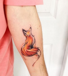 fox fox