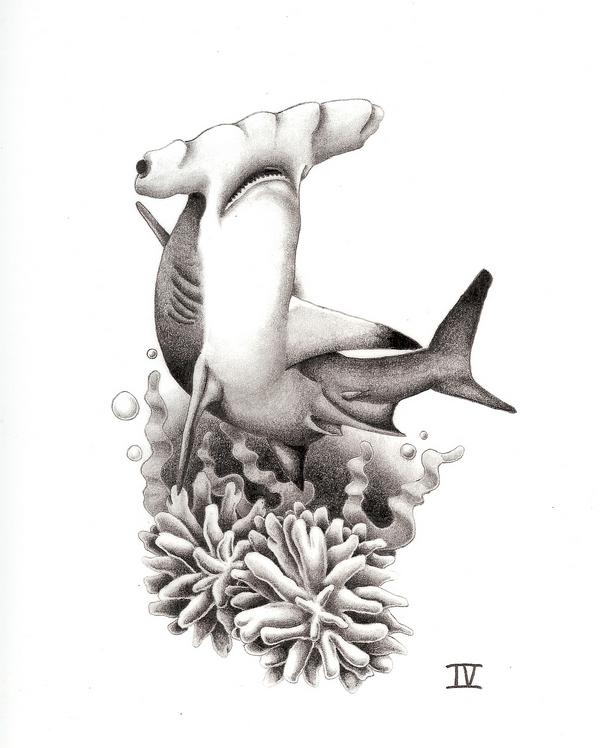 Glamorous Picture Of Hammerhead Shark Tattoo