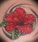 Red Hibiscus Tattoos Designs And Ideas