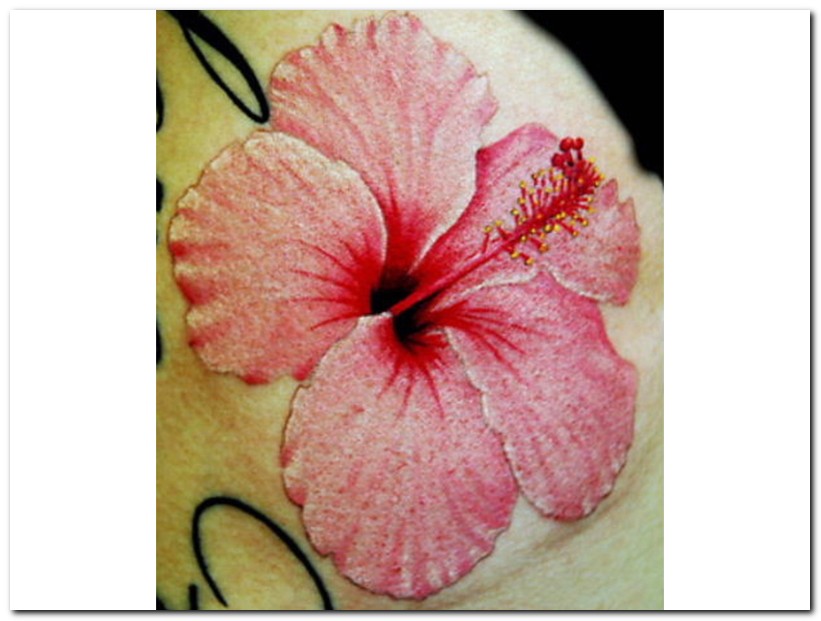 3D Tattoos Designs Hibiscus Flower Tattoo