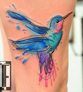 humingbird humingbird