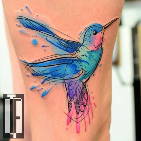 humingbird