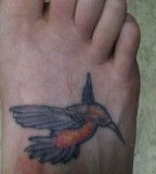 Peaceful Hummingbird Tattoos Design on Foot