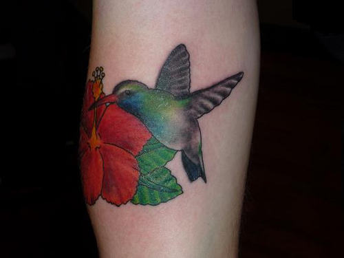 Nice Hummingbird Tattoo Design on Arm