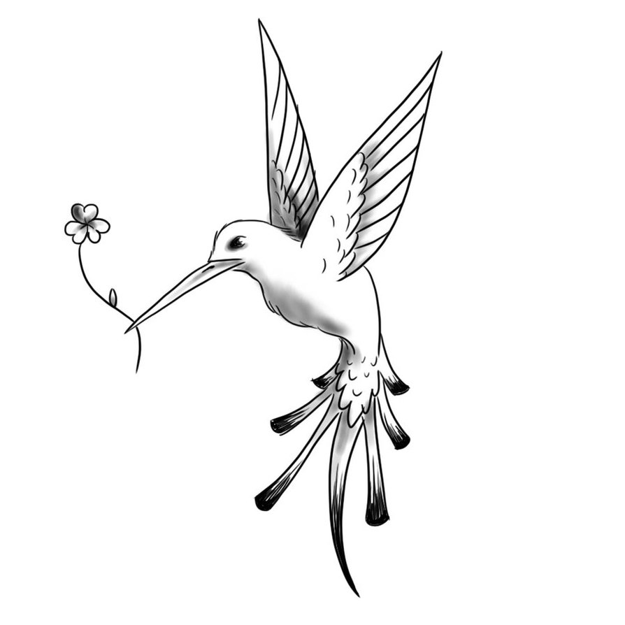 Flying Hummingbird Tattoo Sketch Design