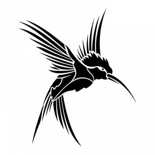 Black Hummingbird Tattoo Sketch Design Ideas