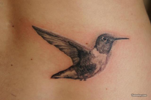 Minimalist Hummingbird Tattoo detailed