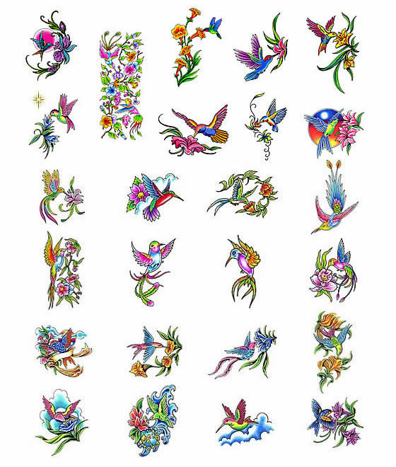 Hummingbird Sketch Tattoos List Design Ideas