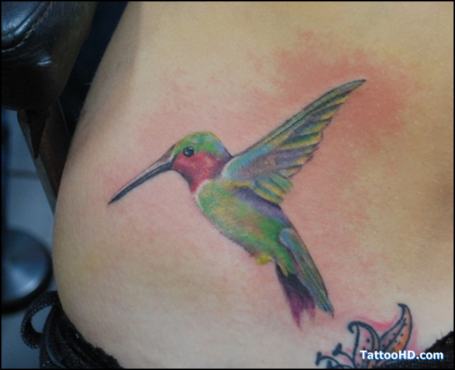 Cute Hummingbird Tattoo Design on Hip