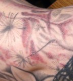 Tattoo Ink Causes Health Scare How To Identify Infection And