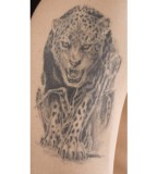 Leopard Tattoo Meaning