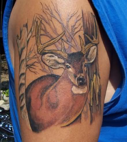 Deer Tattoo Pictures And Meaning