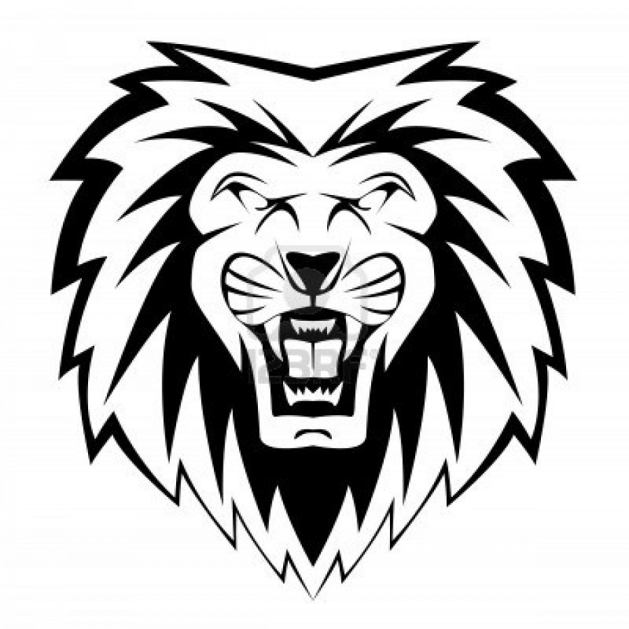 Lion Face Vectors Illustration