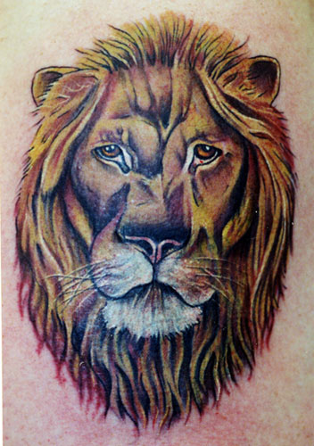 Animal Wildlife Tattoos Lion Face