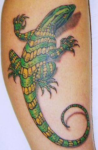 Realistic Green And Yellow Lizard Tattoo