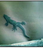 Tattoo Art Body Lizard Tattoo Meaning