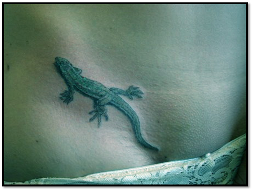 Tattoo Art Body Lizard Tattoo Meaning