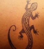 Tribal Gecko Tattoo Designs