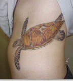 Turtle Tattoos