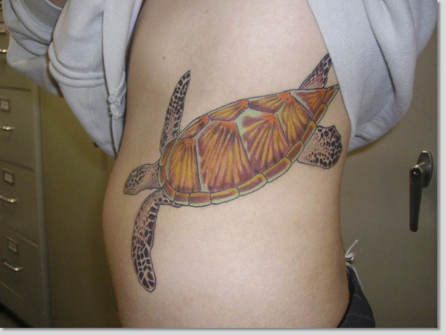 Turtle Tattoos