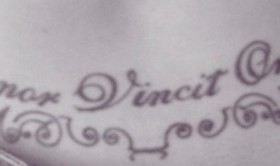 Sexy Amor Vincit Omnia Tattoo On Belly