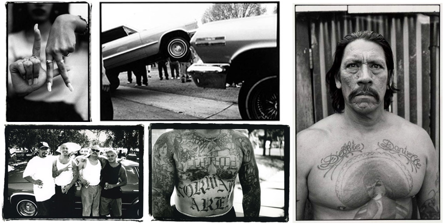 Action Recon  Action Sports News And Videoslowrider Cruising In