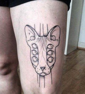 lsd kitty