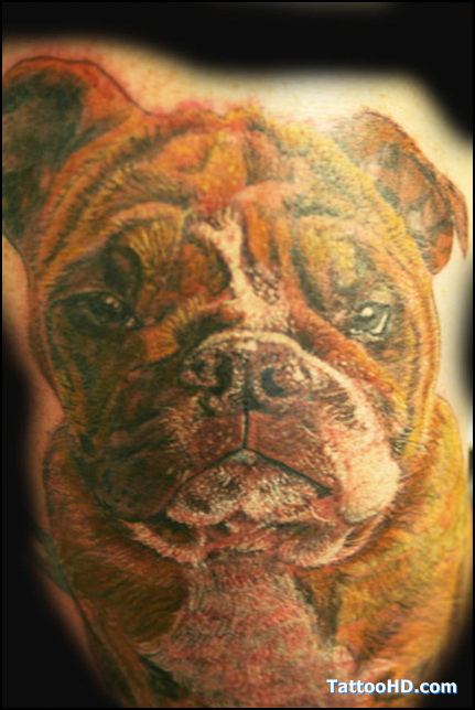 Marine Corps Bulldog Tattoos