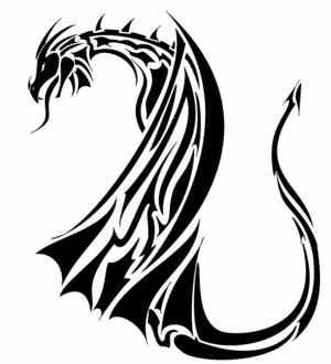 Tribal Dragon Tattoos Sketches Design