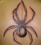 Awesome Spider Tattoos Pictures