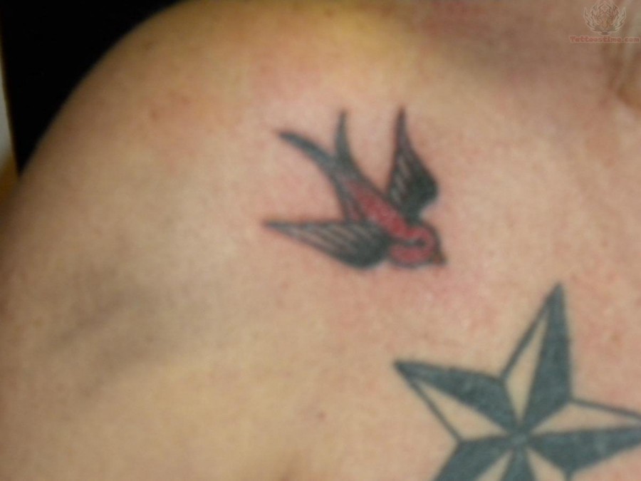 Beautiful Swallow And Nautical Star Tattoo Design