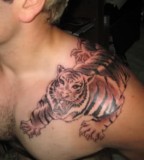 Cool Masculine Tiger Shoulder Tattoo Design for Men