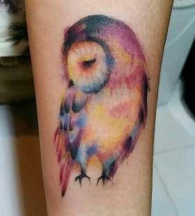 owl owl