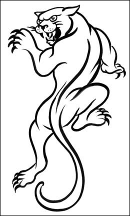 Panther sketch Tattoos Pictures And Images