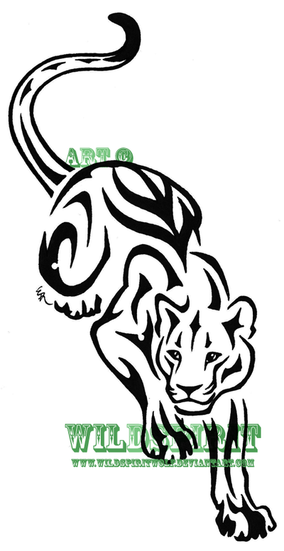 Vector Tiger Lion And Panther Tattoos Meaning Get Rid Of Your