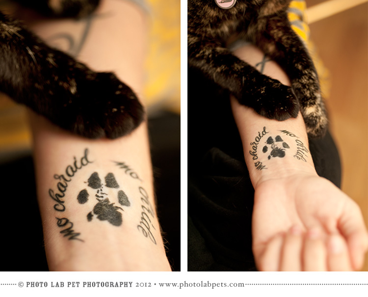 Cat Paw Print Tattoo In left Hand For women