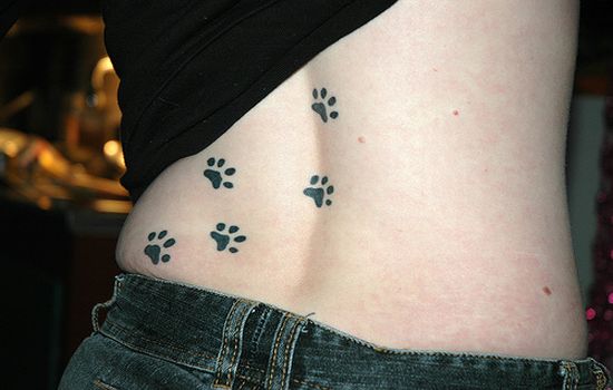 Paw Print Tattoo Meaning Body Art Diary