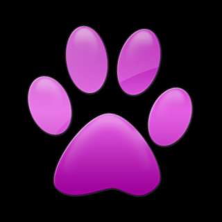 Cat Paw Print Tattoos Videos On Popscreen