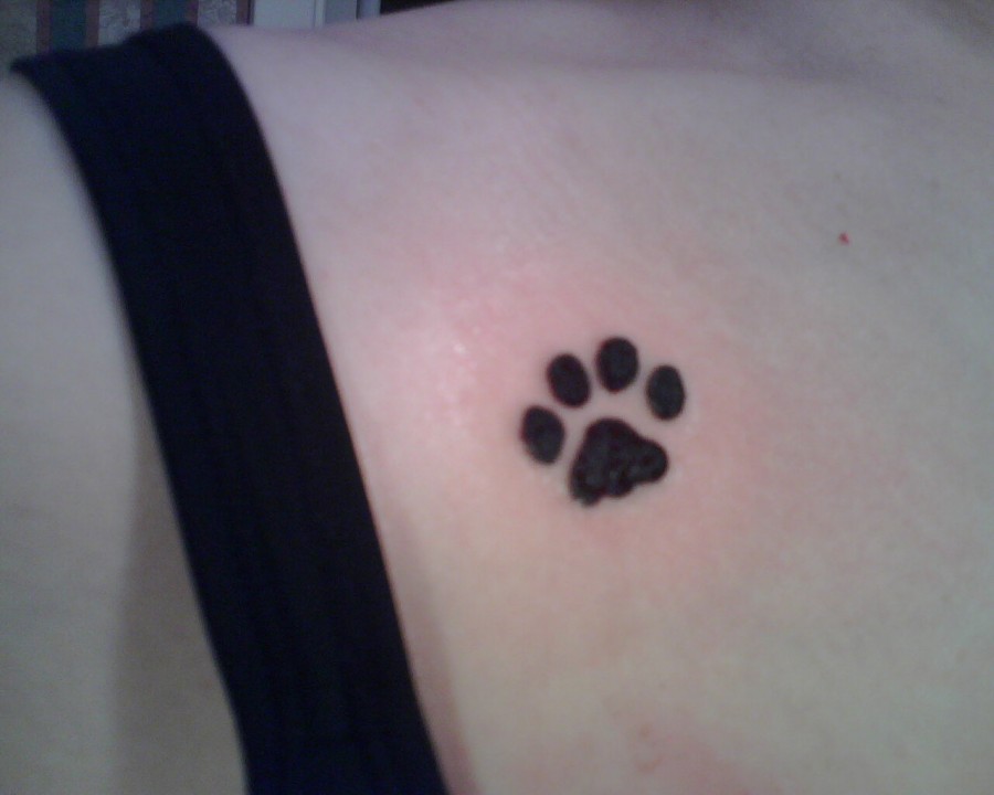 Crazy Cat  Paw Print Tattoo Lady