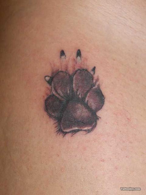 Amazing Dog Paw Print Tattoo Designs