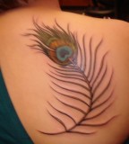Sweet Peacock Feather Tattoo Design