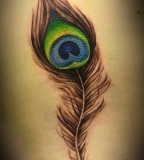 Cute Feather Tattoo Design for Women